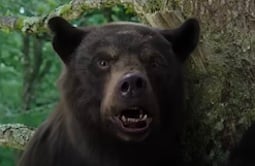 Cocaine Bear: watch the trailer for 2023's craziest comedy